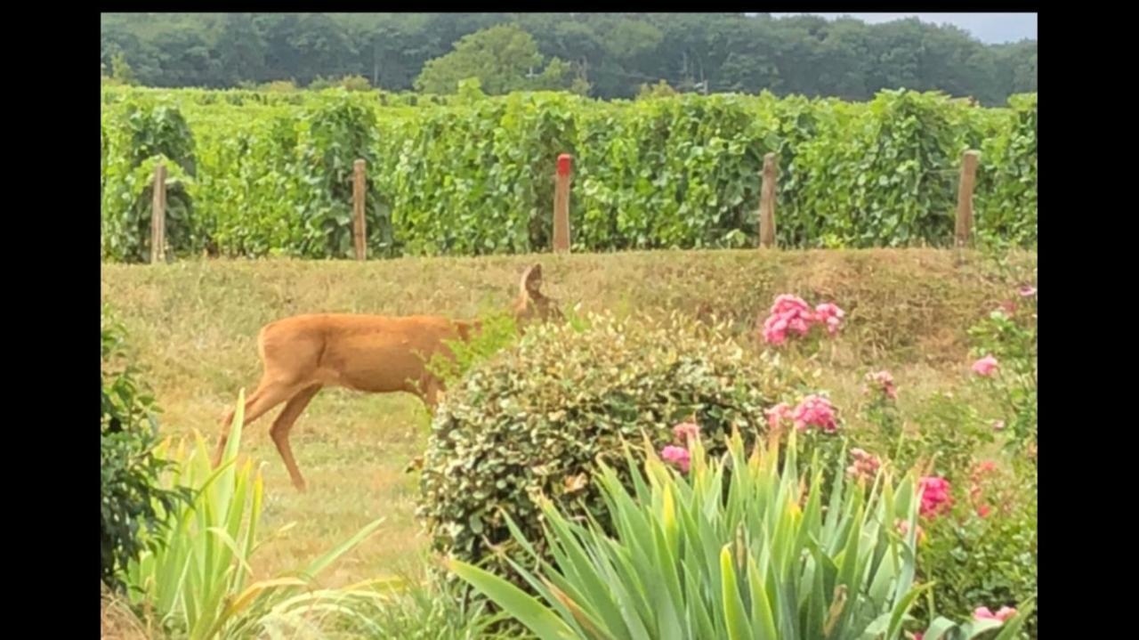 Avre De Paix Sancerrois Apartment Thauvenay Bagian luar foto